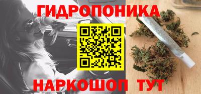 прущие грибы Балахна