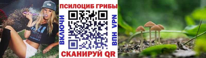 Галлюциногенные грибы Psilocybe  Великий Новгород 