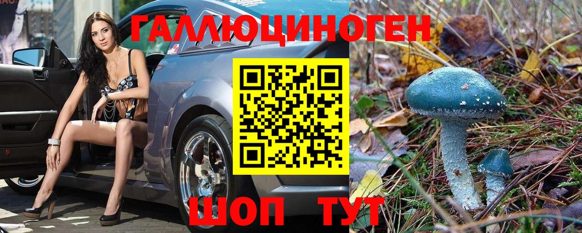 Великий Новгород  Псилоцибиновые грибы прущие грибы  Вход с VPN  Псилоцибиновые грибы мухоморы 