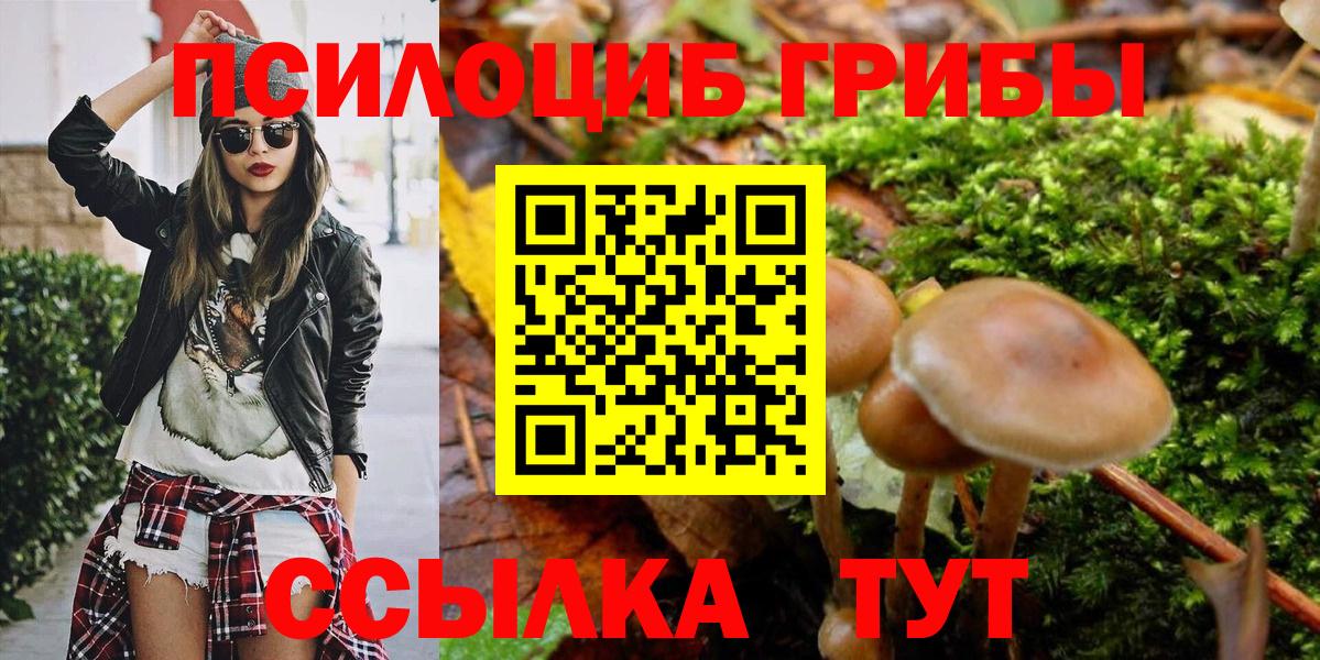 Галлюциногенные грибы ЛСД Великий Новгород