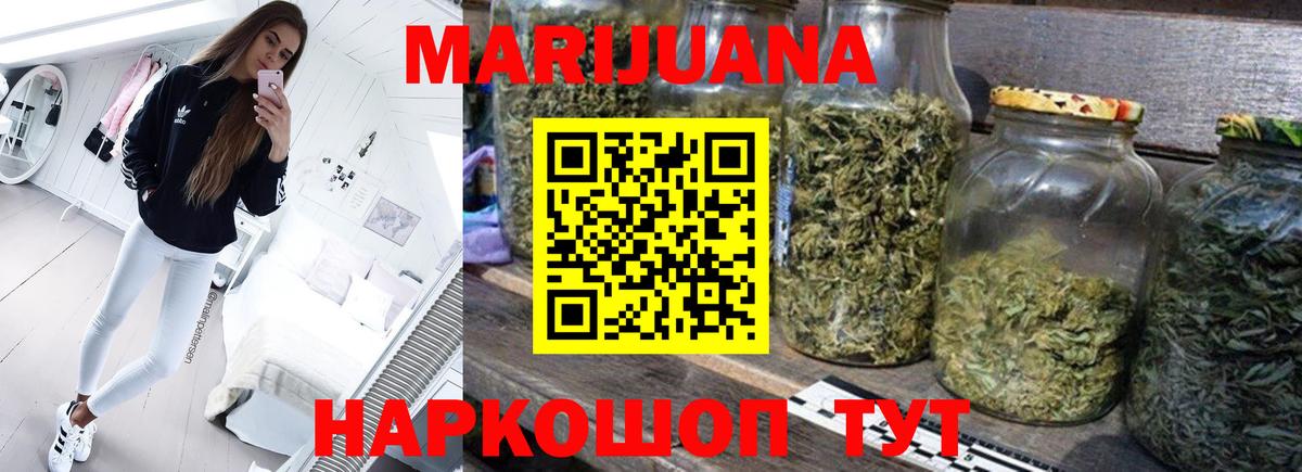 Бошки Шишки планчик Великий Новгород